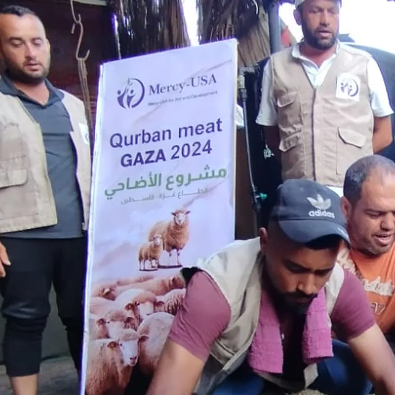 من مشروع الأضاحي
